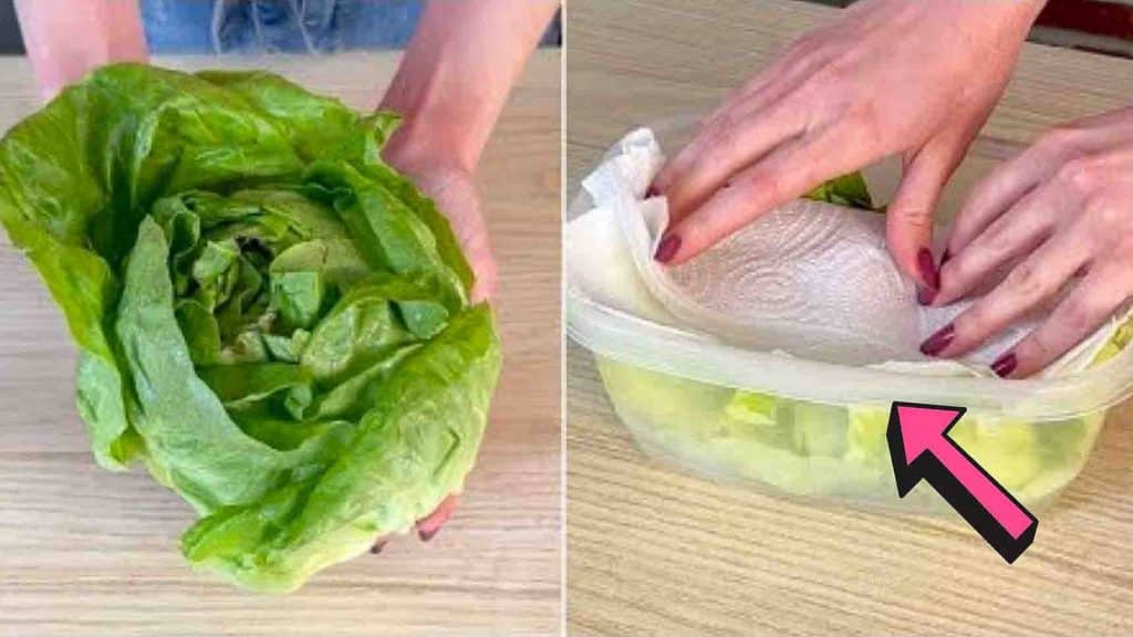 5 Tips To Keep Your Food Fresh Longer