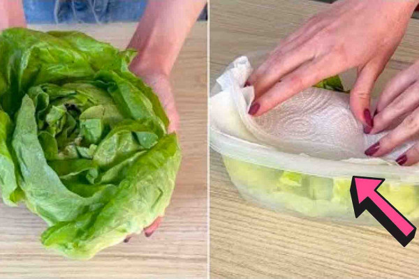 5 Tips To Keep Your Food Fresh Longer