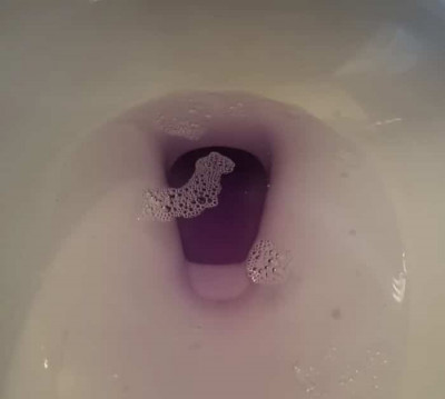 Learn This Bathroom Cleaning Hack Using Dollar Tree Items - DIY Joy