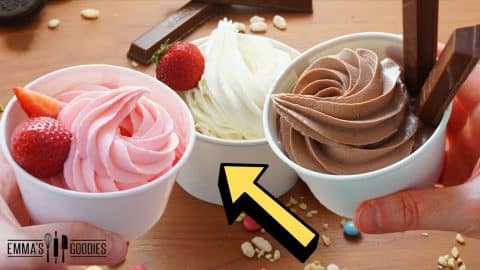 Easy 4-Ingredient Frozen Yogurt in 1 Minute | DIY Joy Projects and Crafts Ideas