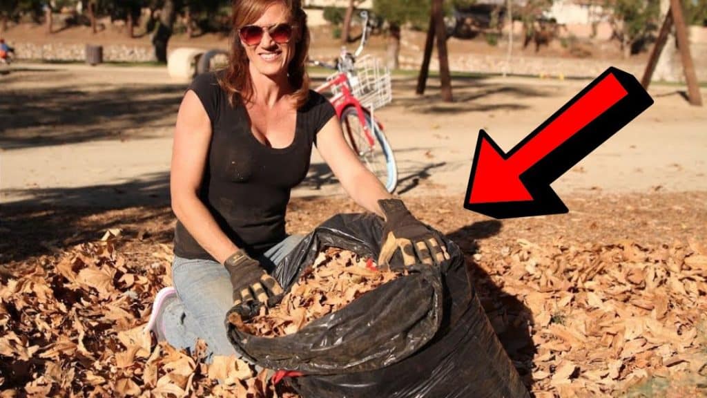 Easy Steps to Prepare your Soil for Spring
