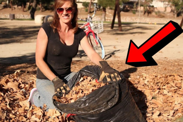 Easy Steps to Prepare your Soil for Spring