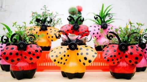How to Make Ladybug Flower Pots From Plastic Bottles | DIY Joy Projects and Crafts Ideas