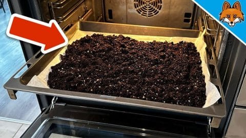 How to Sterilize Potting Soil in the Oven | DIY Joy Projects and Crafts Ideas