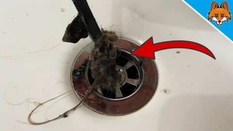 Learn the Easiest & Fastest Way to Unclog your Drain | DIY Joy Projects and Crafts Ideas