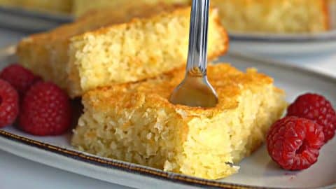 Moist and Delicious Coconut Cake | DIY Joy Projects and Crafts Ideas