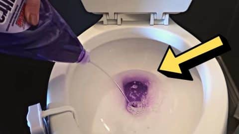 Learn This Bathroom Cleaning Hack Using Dollar Tree Items | DIY Joy Projects and Crafts Ideas