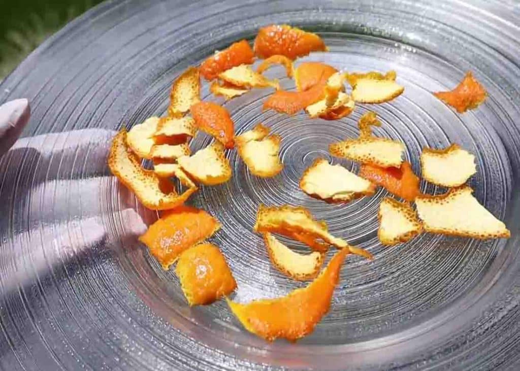 Drying out the orange peel for the DIY vitamin C serum