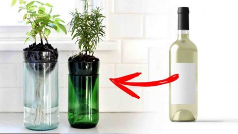 DIY Self-Watering Wine Bottle Planter Tutorial | DIY Joy Projects and Crafts Ideas