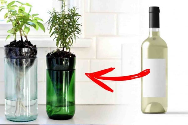 DIY Self-Watering Wine Bottle Planter Tutorial