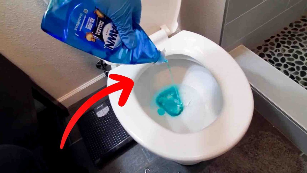 5 DIY Methods for Unclogging a Clogged Toilet Without a Plunger « The  Secret Yumiverse :: WonderHowTo