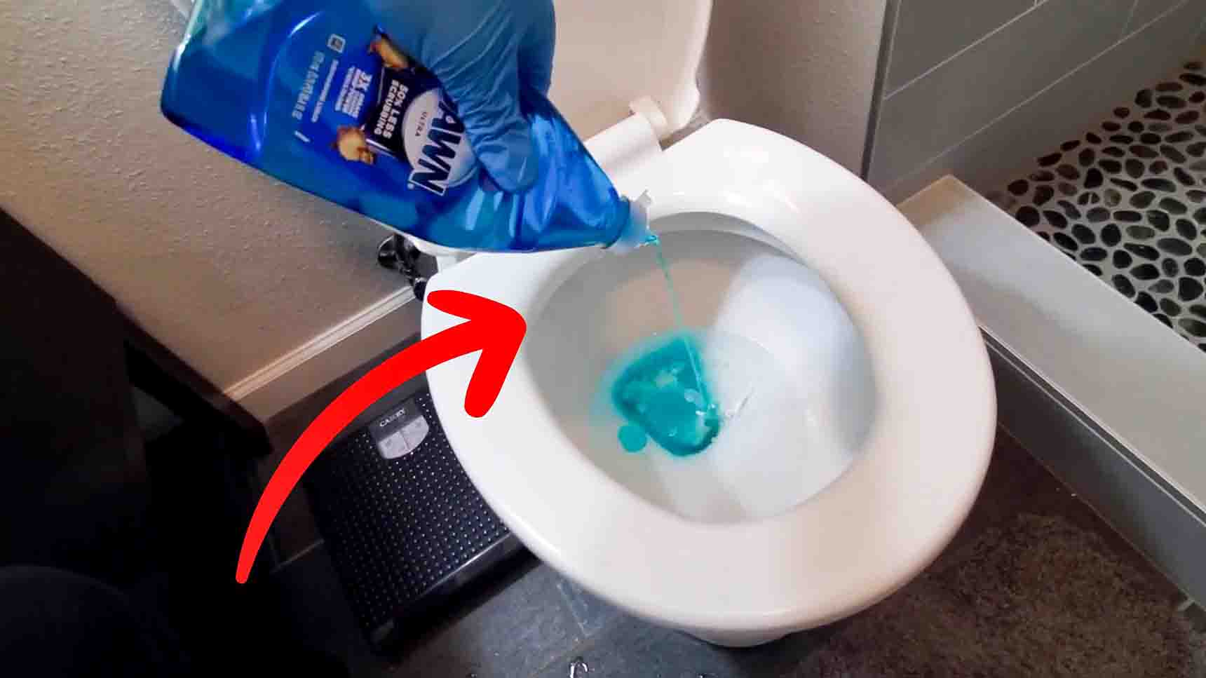 5 Ways to Unclog a Toilet Without a Plunger