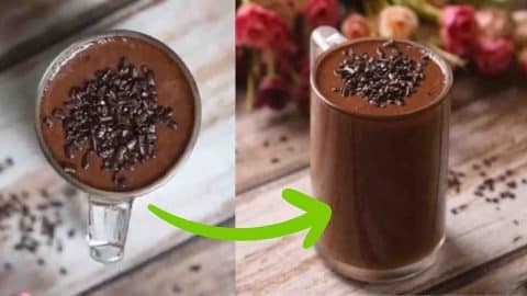 Oats Chocolate Breakfast Smoothie Recipe | DIY Joy Projects and Crafts Ideas
