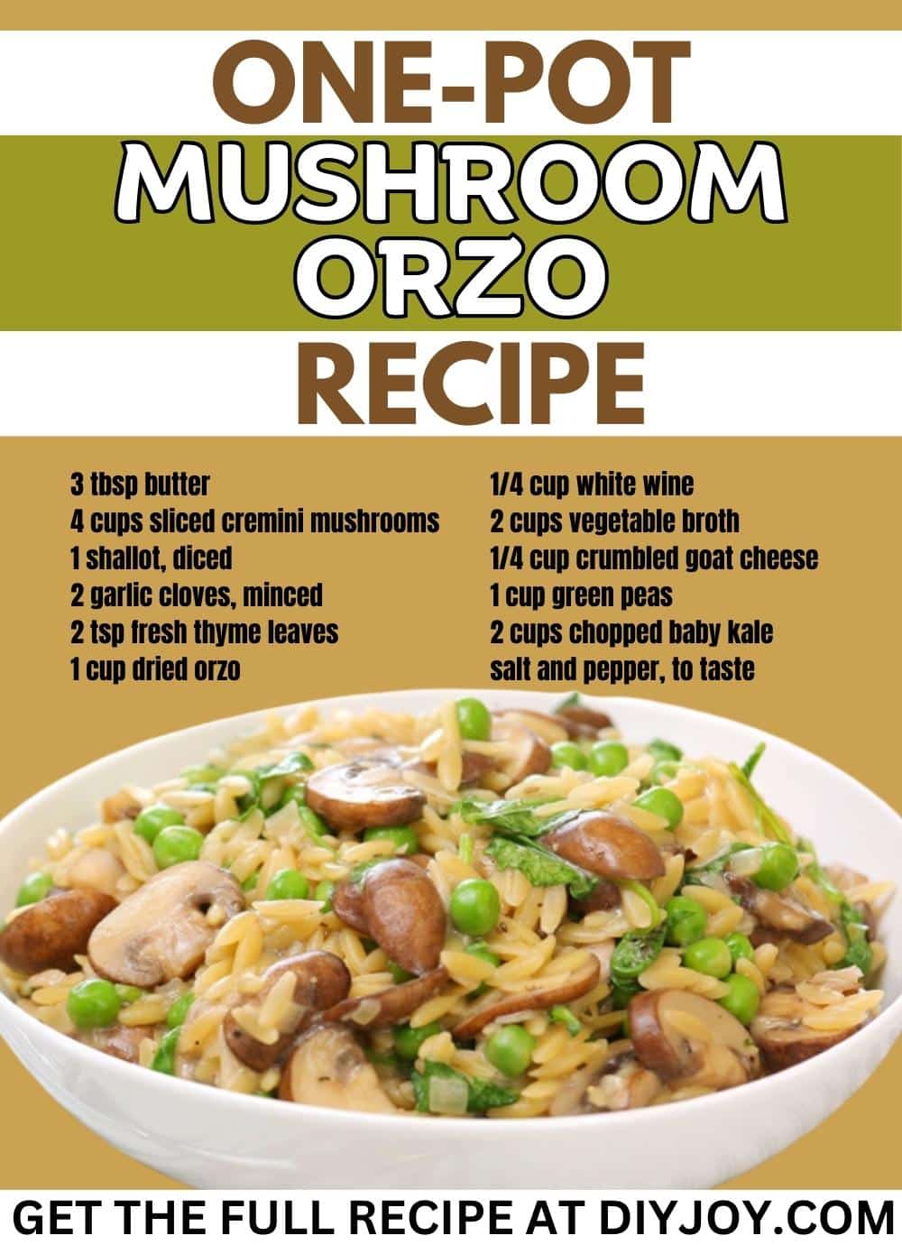 OnePot Mushroom Orzo Recipe