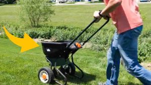 5 Top Lawn Care Tips For The Spring Season