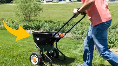 5 Top Lawn Care Tips For The Spring Season | DIY Joy Projects and Crafts Ideas