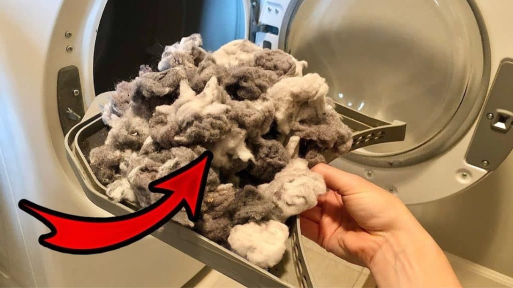 Easy Dryer Lint Trap Deep Cleaning Trick
