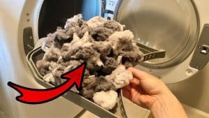 Learn This Easy Dryer Lint Trap Deep Cleaning Trick!