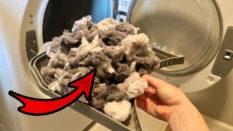 Learn This Easy Dryer Lint Trap Deep Cleaning Trick! | DIY Joy Projects and Crafts Ideas