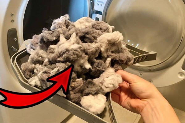 Easy Dryer Lint Trap Deep Cleaning Trick