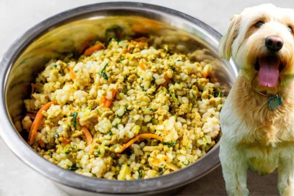 Healthy Homemade Dog Food