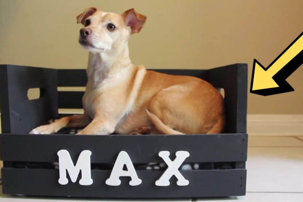 How to Build a DIY Dog Bed for Small Dogs
