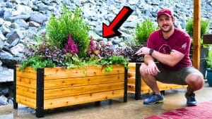 How to Build a DIY Modern Raised Planter Box