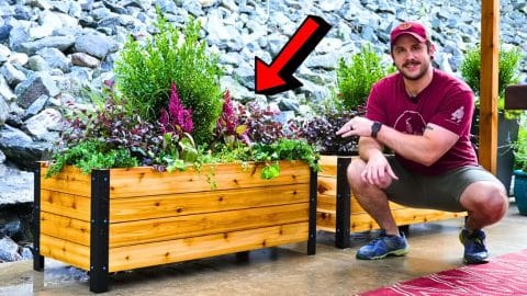 How to Build a DIY Modern Raised Planter Box | DIY Joy Projects and Crafts Ideas