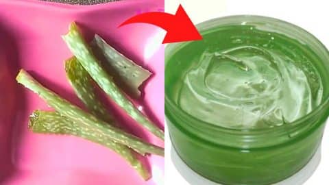 How to Make Aloe Vera Gel at Home | DIY Joy Projects and Crafts Ideas