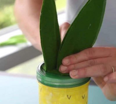 Super Easy DIY Mason Jar Fruit Lanterns Tutorial - DIY Joy