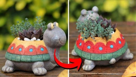 How to Make a DIY Turtle Planter Using an Egg Carton | DIY Joy Projects and Crafts Ideas