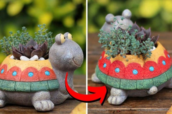 How to Make a DIY Turtle Planter Using an Egg Carton