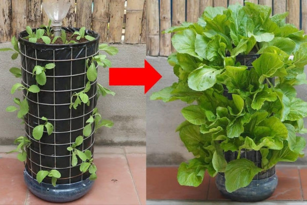 How to Make a Vertical Garden With Automatic Watering to Grow Vegetables