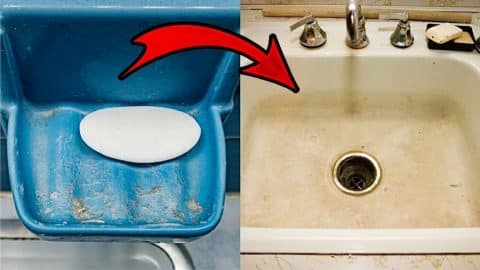 Learn This Genius Soap Scum Removal Hack | DIY Joy Projects and Crafts Ideas