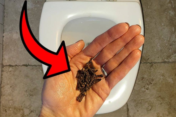 Learn This Simple Trick to Make Your Bathroom Smell Amazing