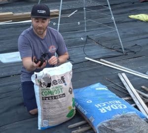 Make Your Yard Ant Free Forever In 3 Easy Steps Diy Joy Make Your Yard Ant Free Forever In 3 Easy Steps Diy Joy