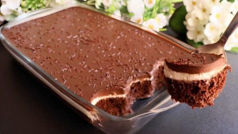 Melt-In-Your-Mouth Chocolate Dessert Recipe | DIY Joy Projects and Crafts Ideas