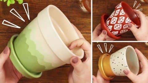 Simple & Quick DIY Pot Painting Ideas | DIY Joy Projects and Crafts Ideas
