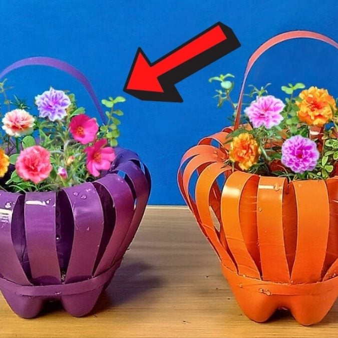 Plastic bottles craft online