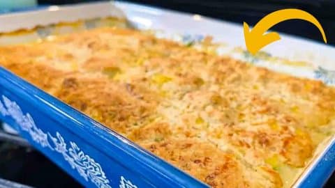 Canned Chicken Cobbler Casserole Recipe | DIY Joy Projects and Crafts Ideas