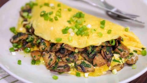 Easy Mushroom Omelet Recipe | DIY Joy Projects and Crafts Ideas