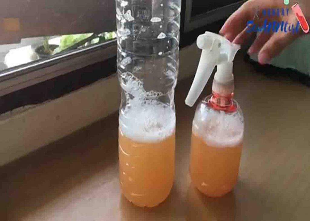 Transferring the DIY pesticide to the spray bottle