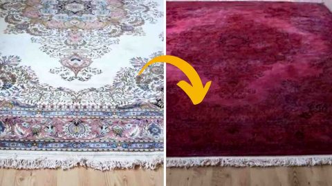 How To Update An Old Rug with House Paint | DIY Joy Projects and Crafts Ideas