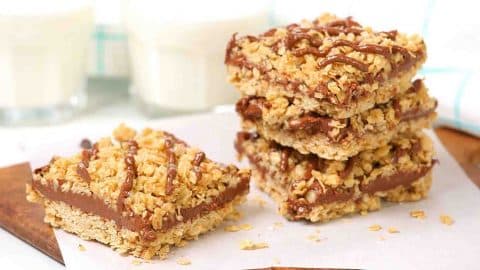 No-Bake Chocolate Peanut Butter Oat Bars | DIY Joy Projects and Crafts Ideas