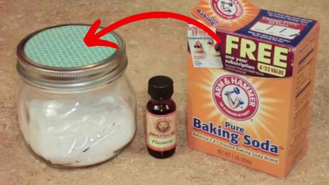 2-Ingredient DIY Mason Jar Air Freshener | DIY Joy Projects and Crafts Ideas