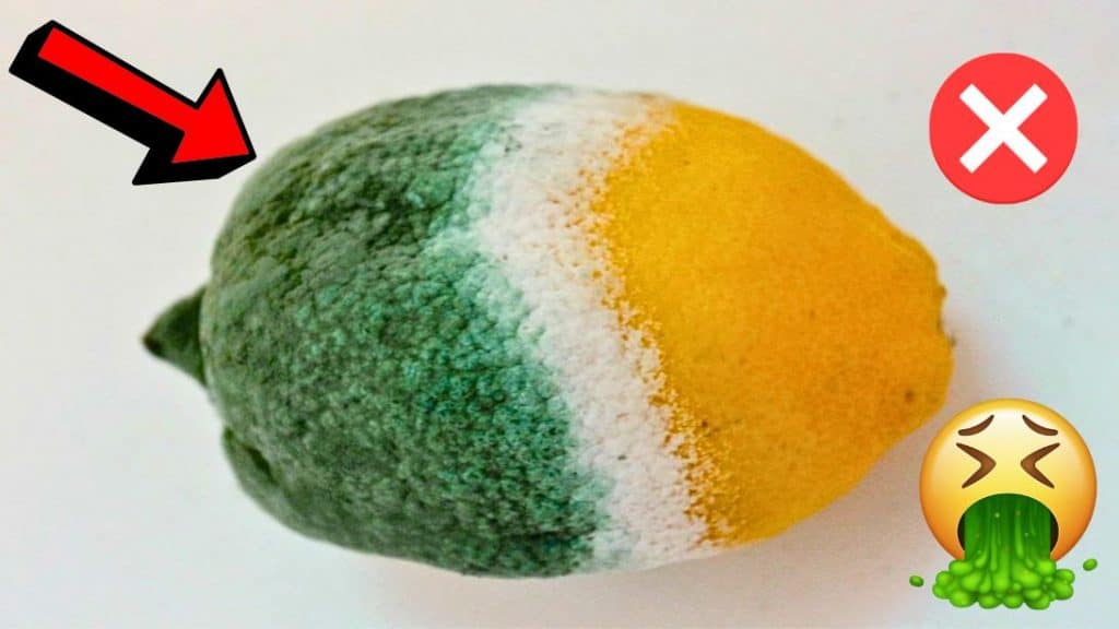 7 Foods You Should Never Refrigerate