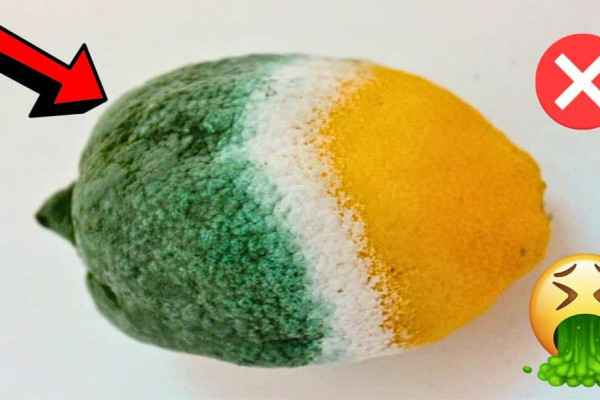 7 Foods You Should Never Refrigerate