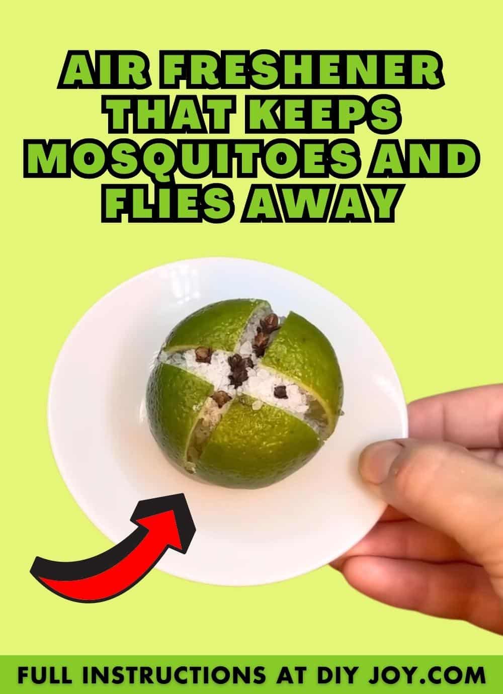 Air Freshener That Keeps Mosquitoes and Flies Away