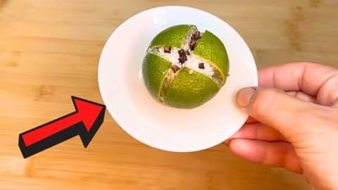 Air Freshener That Keeps Mosquitoes and Flies Away | DIY Joy Projects and Crafts Ideas