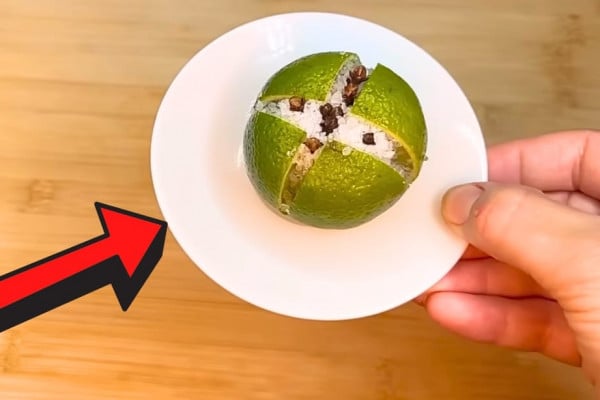 Air Freshener That Keeps Mosquitoes and Flies Away